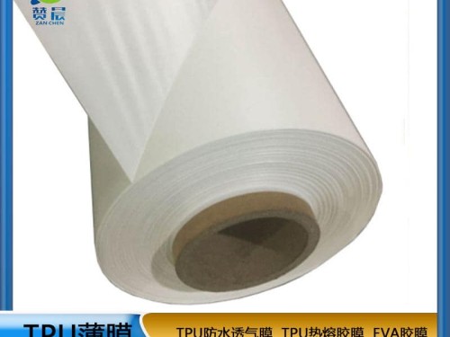 TPU防水透氣膜乳白色  工廠直銷(xiāo) ZC